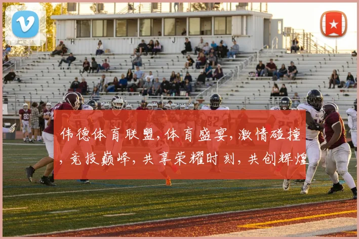 伟德体育联盟,体育盛宴,激情碰撞,竞技巅峰,共享荣耀时刻,共创辉煌