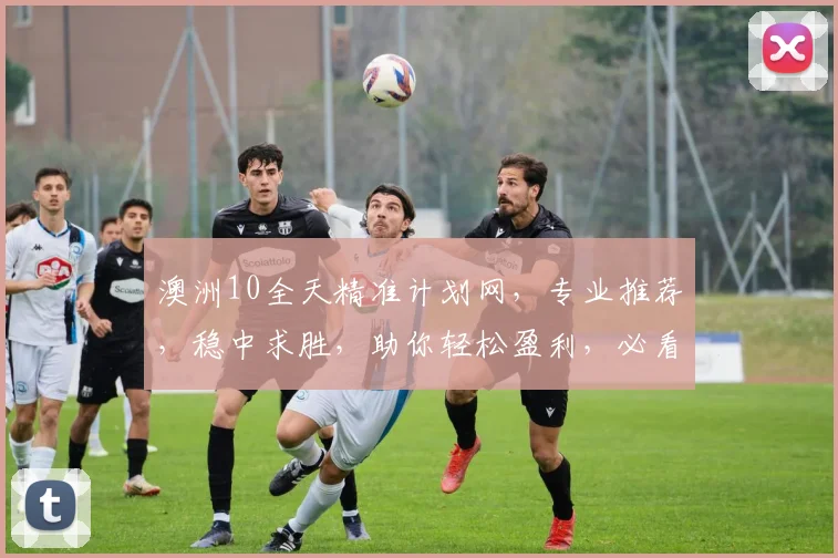 澳洲10全天精准计划网，专业推荐，稳中求胜，助你轻松盈利，必看攻略