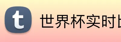 世界杯实时比分APP logo